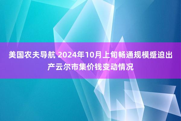 美国农夫导航 2024年10月上旬畅通规模蹙迫出产云尔市集价钱变动情况