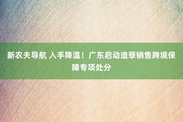 新农夫导航 入手降温！广东启动造孽销售跨境保障专项处分