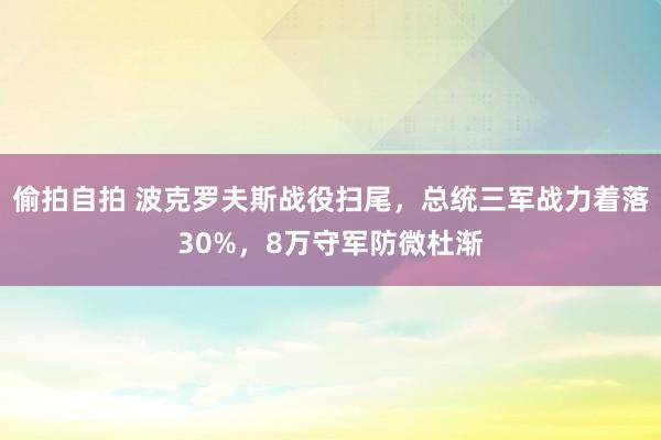 偷拍自拍 波克罗夫斯战役扫尾，总统三军战力着落30%，8万守军防微杜渐