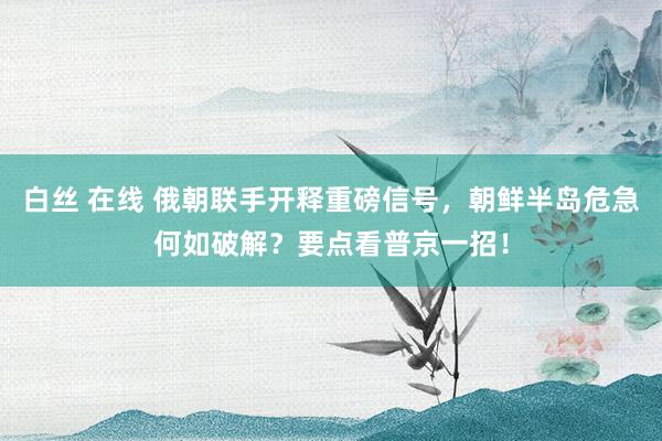 白丝 在线 俄朝联手开释重磅信号，朝鲜半岛危急何如破解？要点看普京一招！