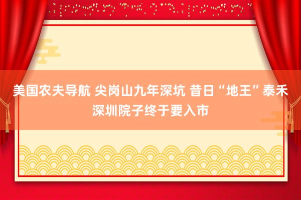 美国农夫导航 尖岗山九年深坑 昔日“地王”泰禾深圳院子终于要入市