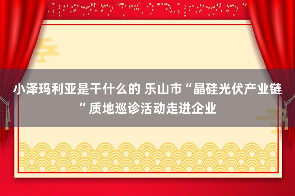 小泽玛利亚是干什么的 乐山市“晶硅光伏产业链”质地巡诊活动走进企业