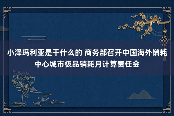 小泽玛利亚是干什么的 商务部召开中国海外销耗中心城市极品销耗月计算责任会