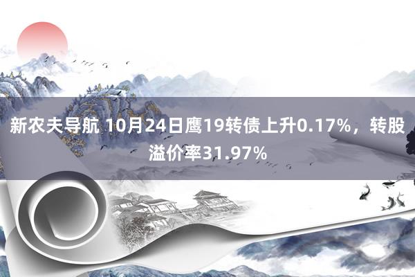 新农夫导航 10月24日鹰19转债上升0.17%，转股溢价率31.97%