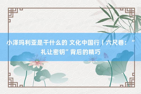 小泽玛利亚是干什么的 文化中国行丨六尺巷：“礼让密钥”背后的精巧