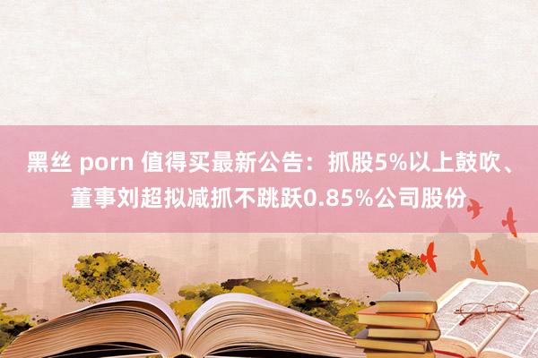 黑丝 porn 值得买最新公告：抓股5%以上鼓吹、董事刘超拟减抓不跳跃0.85%公司股份