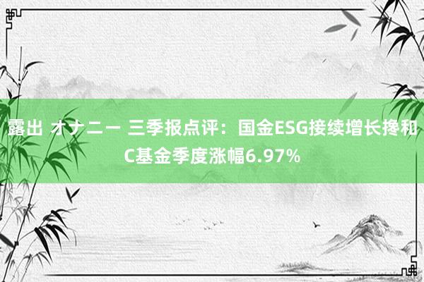 露出 オナニー 三季报点评：国金ESG接续增长搀和C基金季度涨幅6.97%