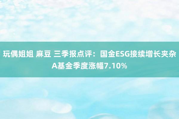 玩偶姐姐 麻豆 三季报点评：国金ESG接续增长夹杂A基金季度涨幅7.10%