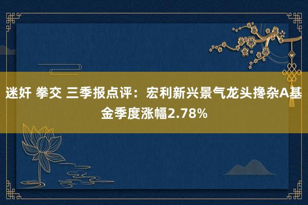 迷奸 拳交 三季报点评：宏利新兴景气龙头搀杂A基金季度涨幅2.78%