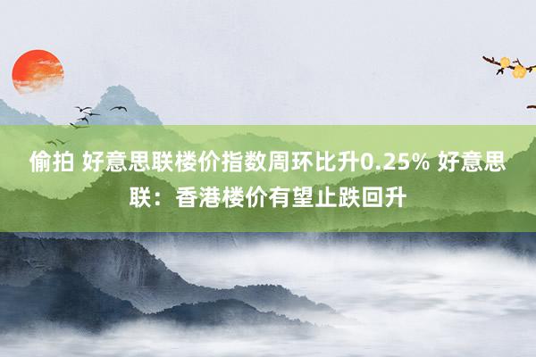 偷拍 好意思联楼价指数周环比升0.25% 好意思联：香港楼价有望止跌回升