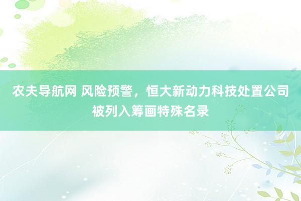 农夫导航网 风险预警，恒大新动力科技处置公司被列入筹画特殊名录