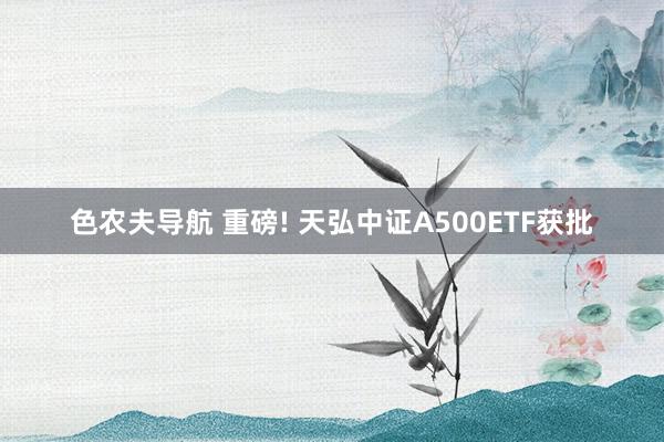 色农夫导航 重磅! 天弘中证A500ETF获批