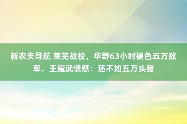 新农夫导航 莱芜战役，华野63小时褪色五万敌军，王耀武愤怒：还不如五万头猪