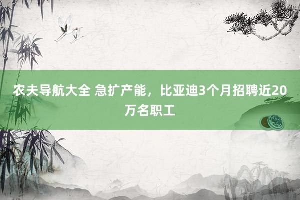 农夫导航大全 急扩产能，比亚迪3个月招聘近20万名职工