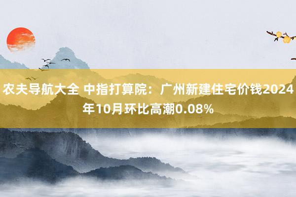 农夫导航大全 中指打算院：广州新建住宅价钱2024年10月环比高潮0.08%