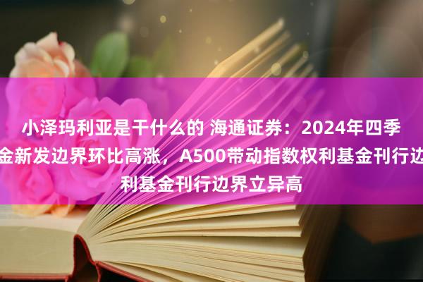 小泽玛利亚是干什么的 海通证券：2024年四季度公募基金新发边界环比高涨，A500带动指数权利基金刊行边界立异高