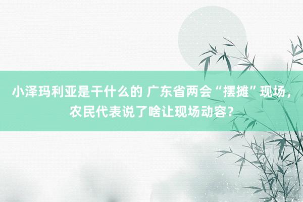 小泽玛利亚是干什么的 广东省两会“摆摊”现场，农民代表说了啥让现场动容？