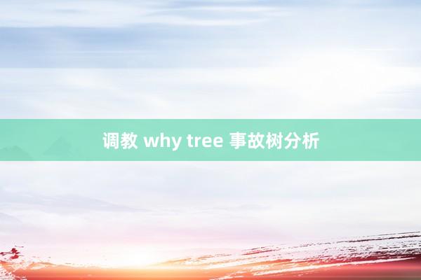 调教 why tree 事故树分析