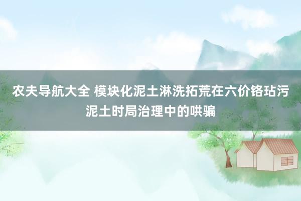 农夫导航大全 模块化泥土淋洗拓荒在六价铬玷污泥土时局治理中的哄骗