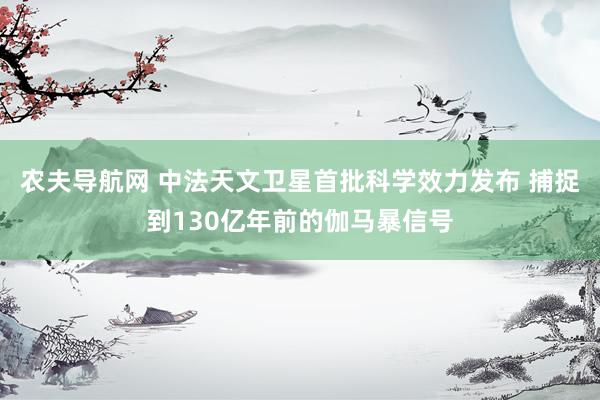 农夫导航网 中法天文卫星首批科学效力发布 捕捉到130亿年前的伽马暴信号