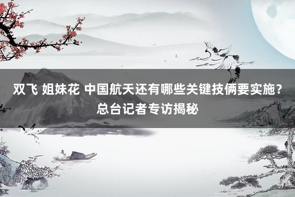 双飞 姐妹花 中国航天还有哪些关键技俩要实施？总台记者专访揭秘